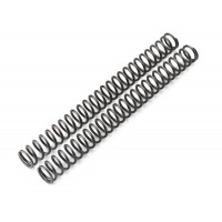 WP Fork Spring Set Cone Valve