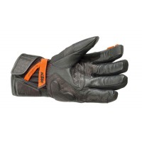3PW22000240x_palm