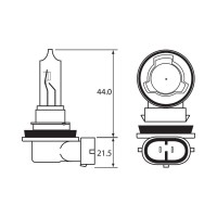 Bulb - Halogen - 12V 65W H9 PGJ19-5