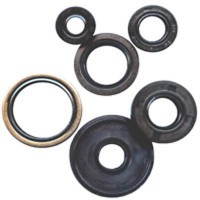 Vertex Engine Seal Kit