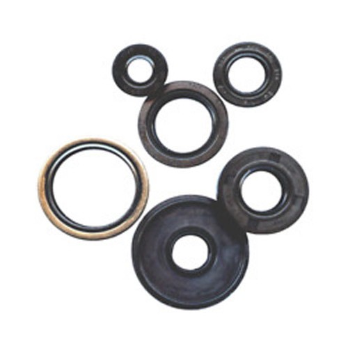 Vertex Engine Seal Kit