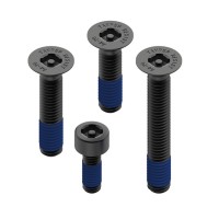 Quad Lock Anit-theft Screw Kit